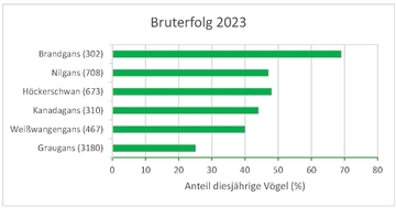 Bruterfolg 2023