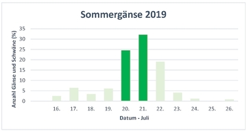 Verteilung Erfassungsdaten 2019