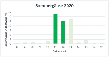 Verteilung Erfassungsdaten 2020