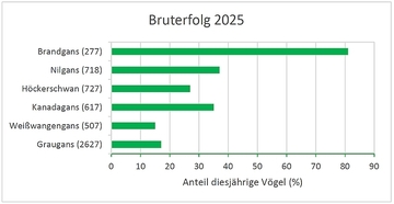 Bruterfolg 2025