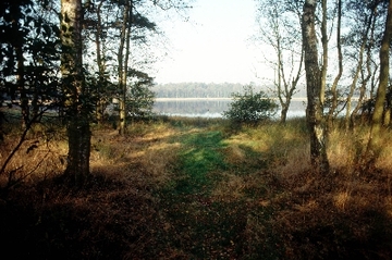 Dörgener Moor