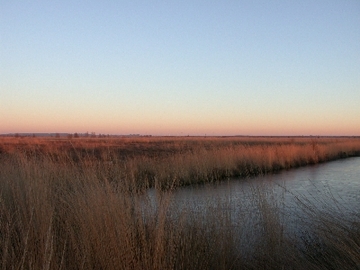 Leegmoor