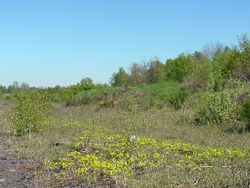 Bahndammgelände Krusenbusch