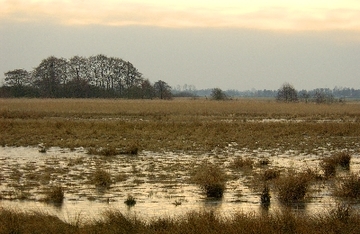 Boekzeteler Meer