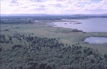 Ostufer Steinhuder Meer