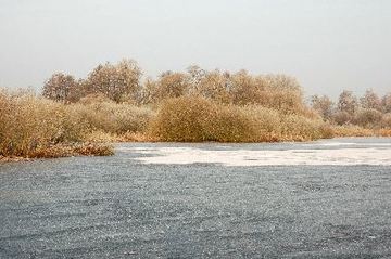 Dümmer im Winter