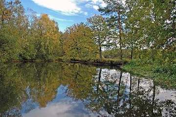 Ahlhorner Fischteiche