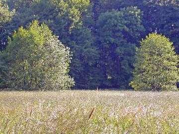 Harderburg im Sommer