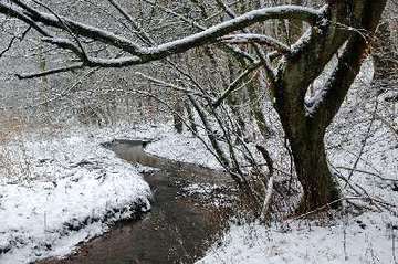 Freedenbach im Winter