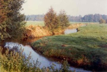 Foto aus dem Naturschutzgebiet Obere Wümmeniederung