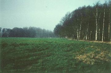 Arendorfer Moor