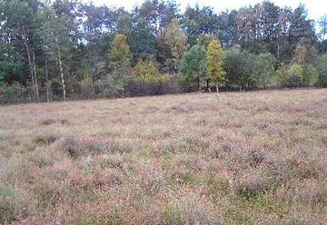 Foto aus dem Naturschutzgebiet "Maujahn"