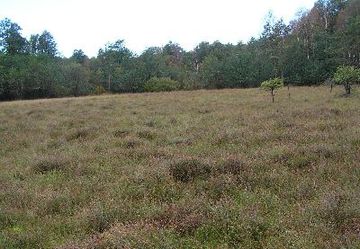 Foto aus dem Naturschutzgebiet "Maujahn"