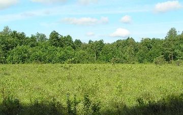 Foto aus dem Naturschutzgebiet "Maujahn"