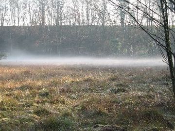 Foto aus dem Naturschutzgebiet "Maujahn"