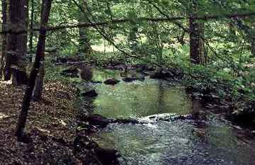 Schierbruch und Forellenbachtal