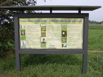 Untere Seeveniederung - Infotafel Schachblumen-Lehrpfad