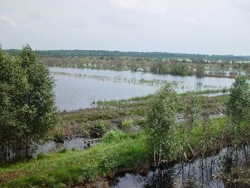 Tister Bauernmoor- Wiedervernässte Fläche