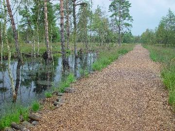 Tister Bauernmoor - Holzfederweg