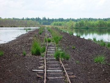 Tister Bauernmoor - Damm zwischen den Westlagunen