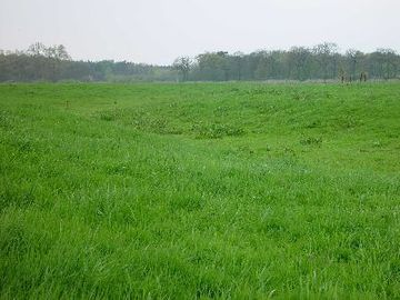 Allerschleifen zwischen Wohlendorf und Hülsen