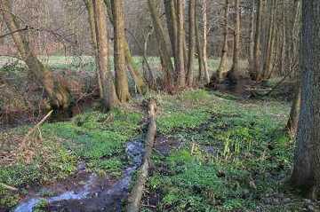 Deinster Mühlenbach