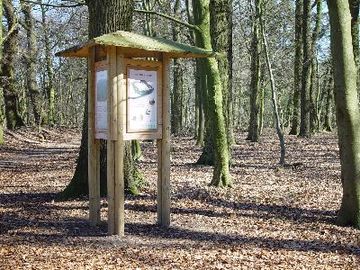 Deinster Mühlenbach - Waldlehrpfad