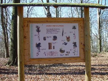 Deinster Mühlenbach - Waldlehrpfad