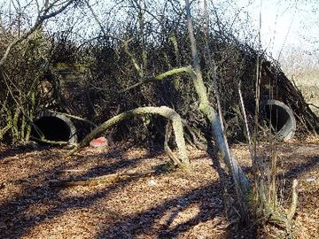 Deinster Mühlenbach - Waldlehrpfad Fuchsbau