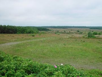 Altenwalder Heide