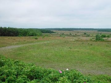 Altenwalder Heide