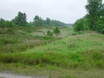 Cuxhavener Küstenheiden - Burgwall