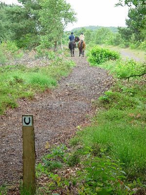 Cuxhavener Küstenheiden - Reitweg