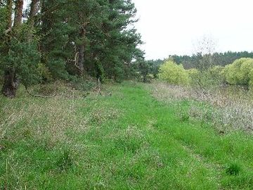 Hornbosteler Hutweide - Reich strukturierter Waldrand