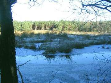 Brambosteler Moor - Torfstich