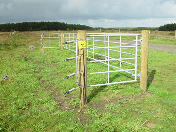 Zaunanlage mit Weidetor