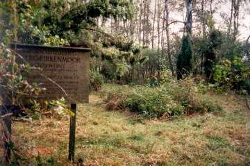 Zwergbirkenmoor bei Schafwedel