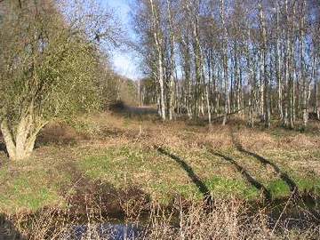 Ehemalige Wiese