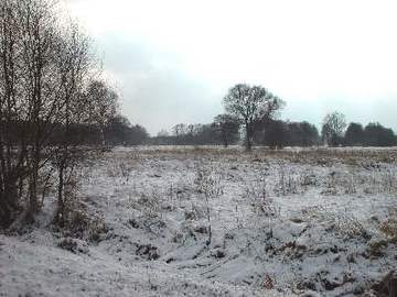 Winterlandschaft