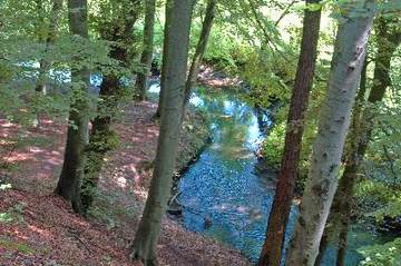 Obere Hunte bei Barkhausen