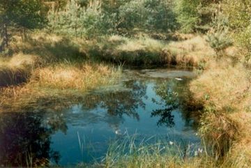 Rauhes Moor - Torfstich