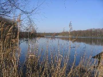 Vogelfreistätte Jastorfer See