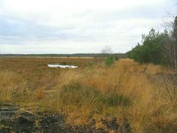 Schweimker Moor - ehemaliger Torfstich