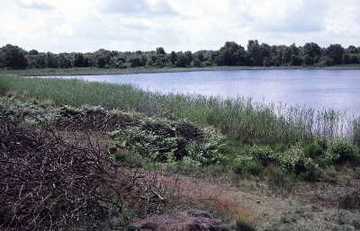 Wollingster See