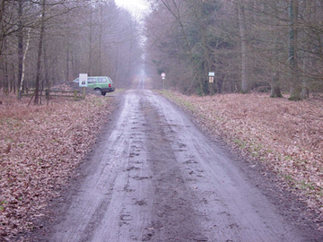 Foto aus dem Naturschutzgebiet "Beverner Wald"