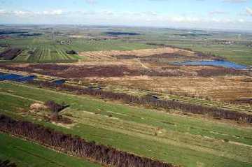 Foto aus dem Naturschutzgebiet "Oederquarter Moor"