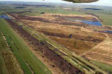 Foto aus dem Naturschutzgebiet "Oederquarter Moor"