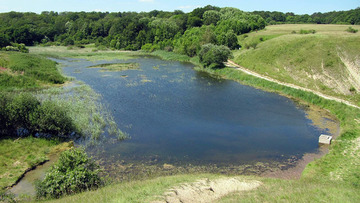 Oberer Giesener Teich