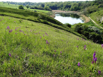 Halbtrockenrasen und oberer Giesener Teich