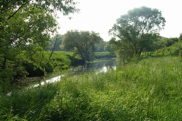 Innersteniederung am roten Steine